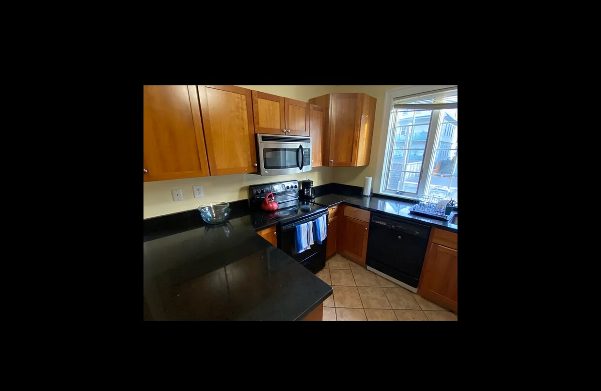 Primary Photo - 29 Albion St