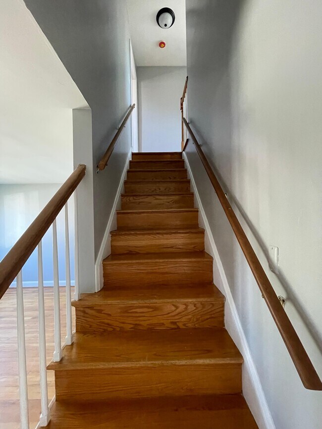 Foto del edificio - Lucia