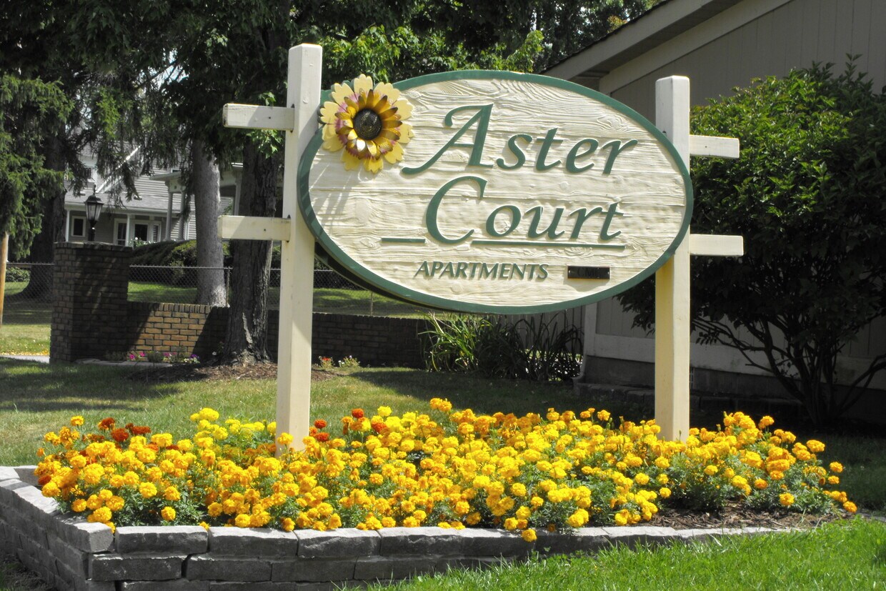 Primary Photo - Aster Village Apartments