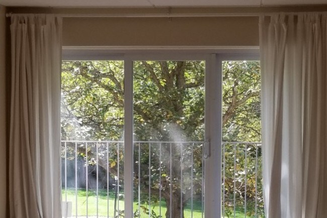 Sunny balcony with lots of natural light! - 5125 Blodgett Ave