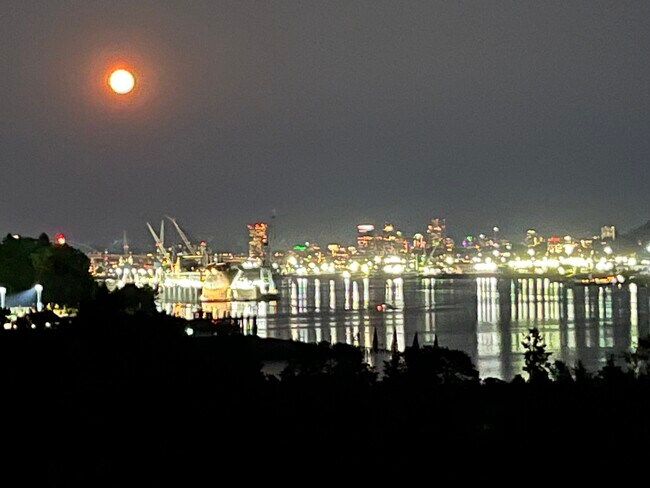 Foto del edificio - 7511 N Edgewater Ave