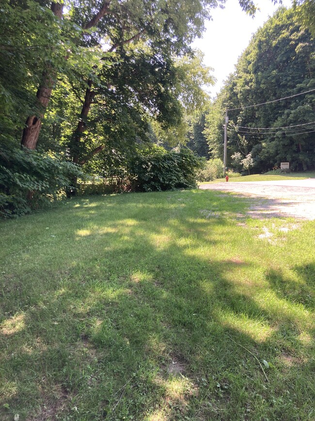 Side yard - 10 Lawrence St