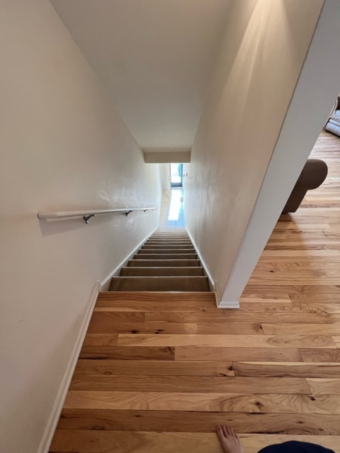 Building Photo - 229 Scio Village Ct