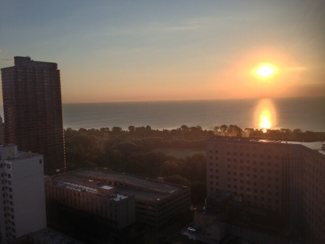 Foto principal - 340 W Diversey Pkwy