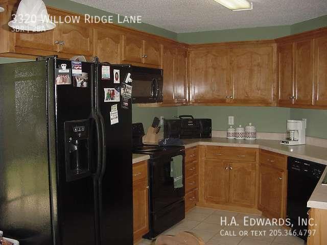 Building Photo - 3320 Willow Ridge Ln
