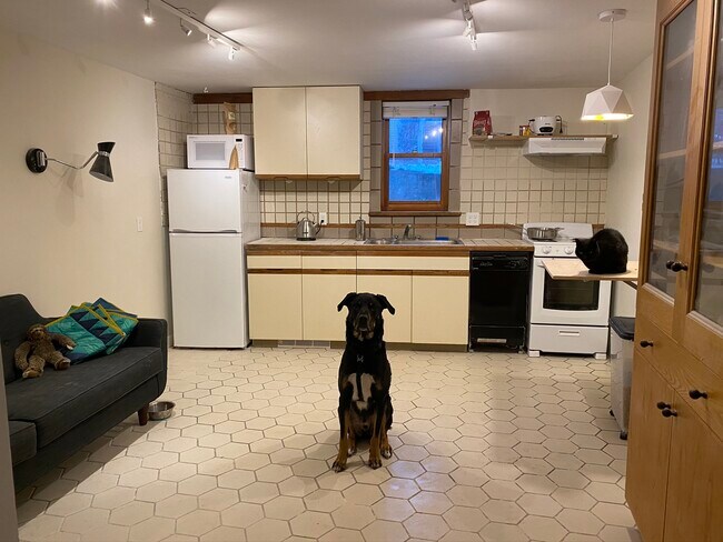 Kitchen/Living - 77 Newbury St