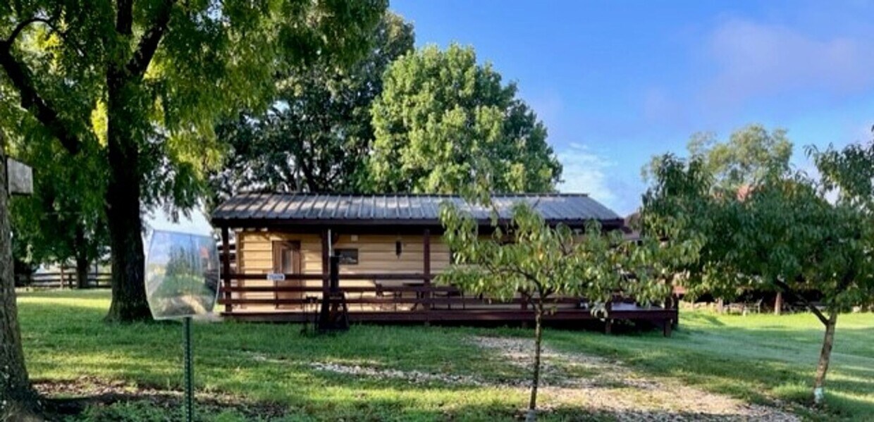 Primary Photo - Fully furnished tiny home- 1 bedroom, 1 bath!