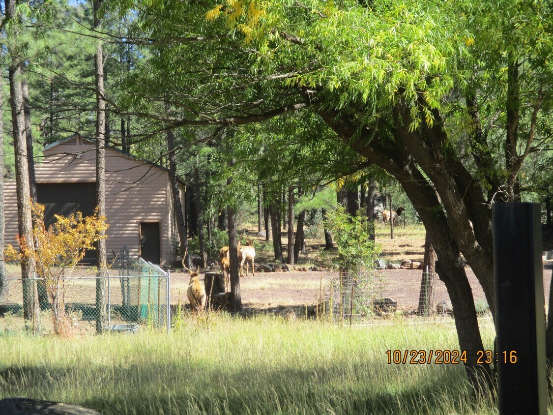 Foto principal - 3850 W White Mountain Blvd
