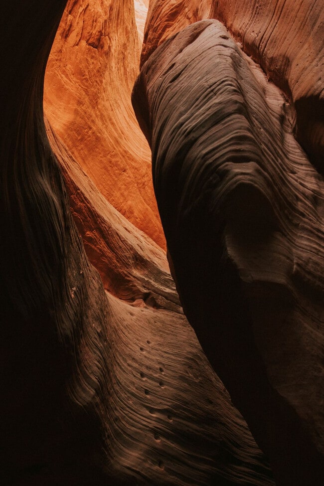 Foto del edificio - 736 W Rider Dr