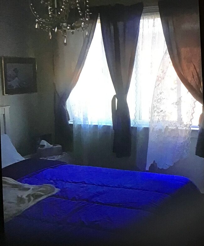 Foto del edificio - 7540 37th Ave NE