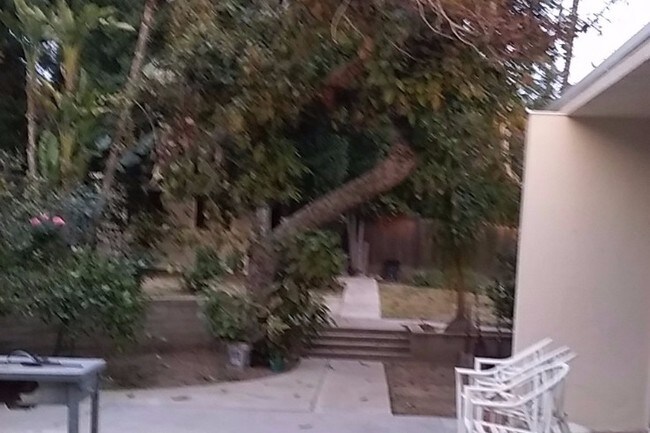 Patio - 1328 N Louise St