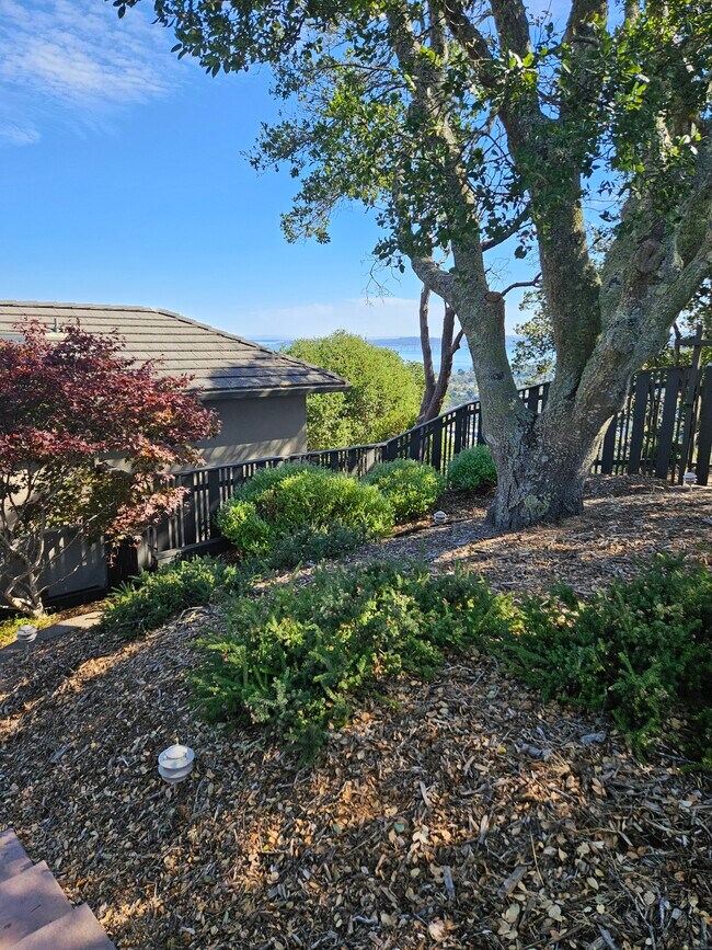 Foto del edificio - 1202 Meadowcrest Dr