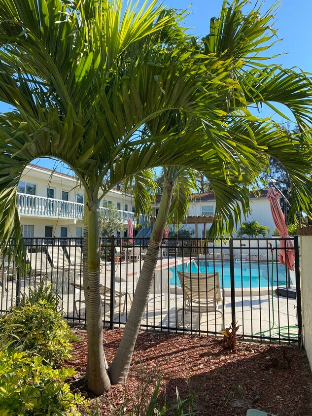 Lovely tropical setting - 300 Monroe Ave