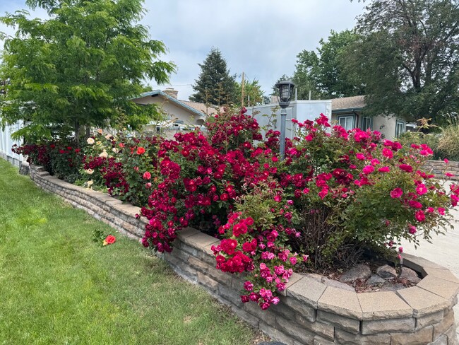 Foto del edificio - 1653 Tabor St