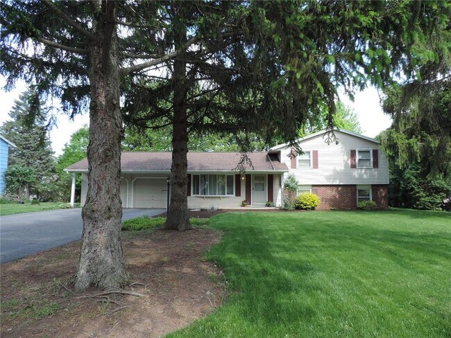 Building Photo - 6 Silver Birch Cir