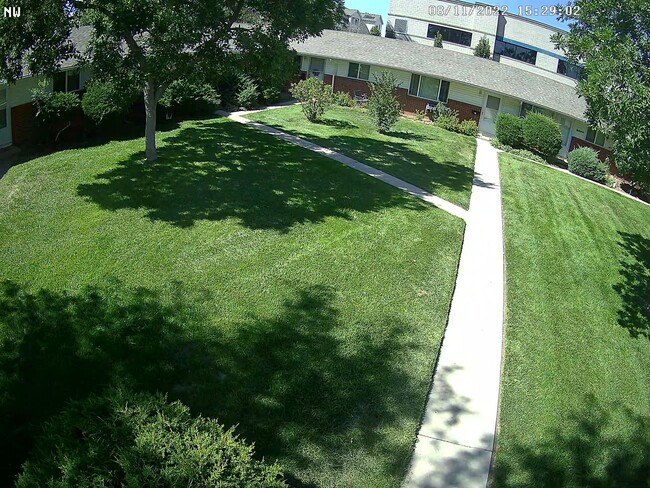 Beautiful garss front yard in six plex - 81 Southern W St