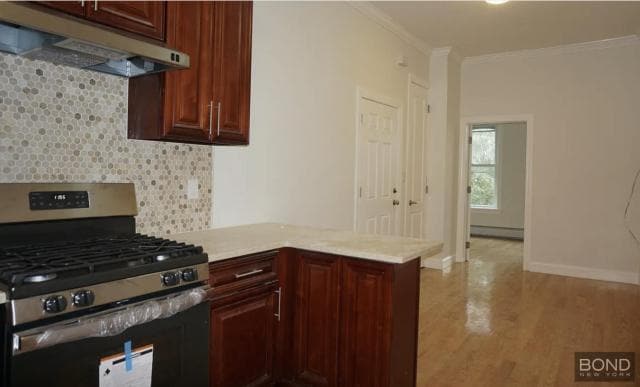 Building Photo - 2 bedroom in Brooklyn NY 11206