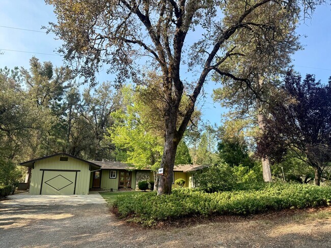 Building Photo - 10070 Garesio Ranch Rd