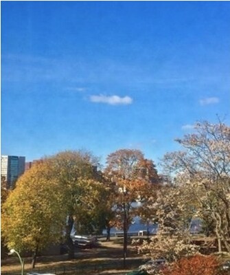 Foto del edificio - 8 Otis Pl