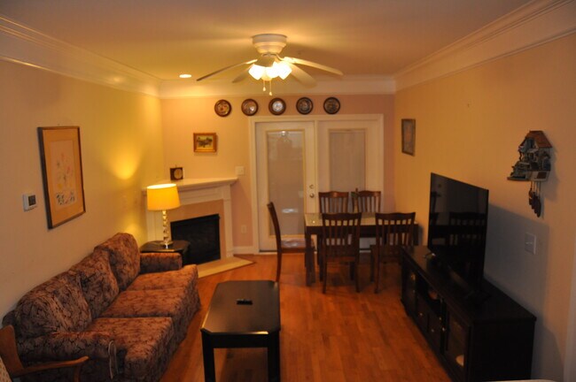 Living room with Gas Fire Place with step out balcony - 1025 Riverland Woods Pl