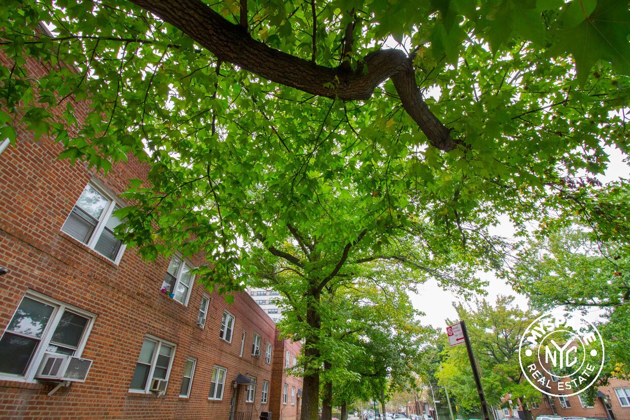 Foto principal - 668 Brooklyn Ave