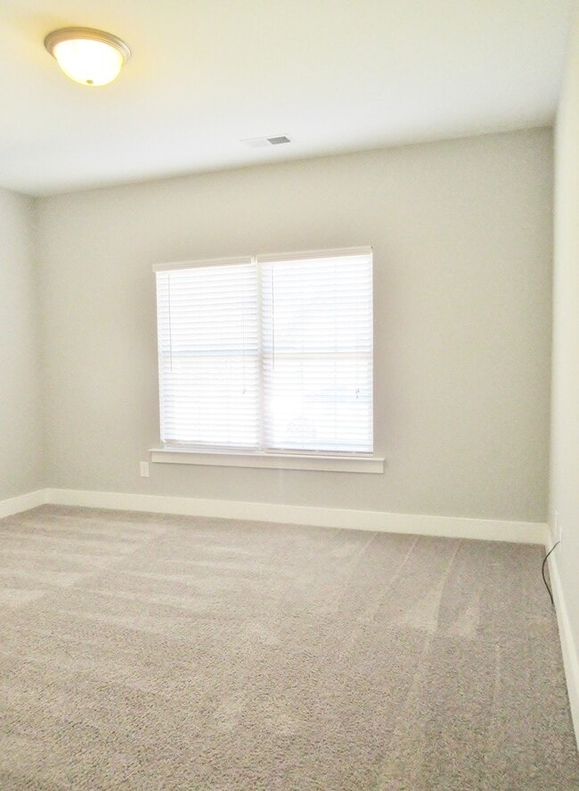 Building Photo - Spacious Home  for rent in Lake Cyrus... A...