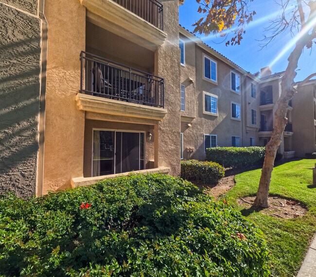 Vista del patio trasero - 5654 Amaya Dr