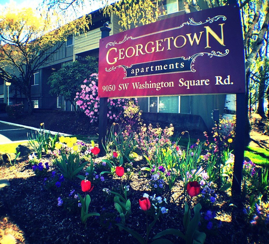 Primary Photo - Georgetown Manor Apartments