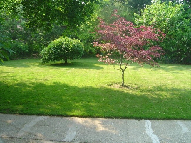 Foto del edificio - 305 Maplewood Rd