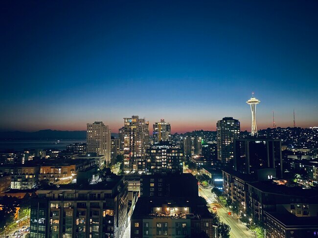 View from Balcony - 2201 3rd Ave Apartment