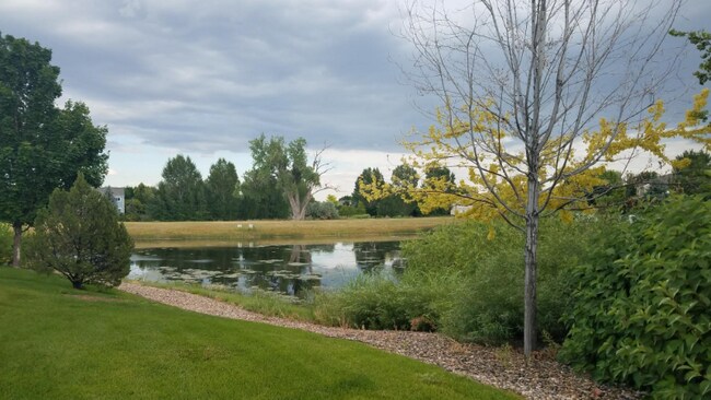 Building Photo - 2112 Campo Ct