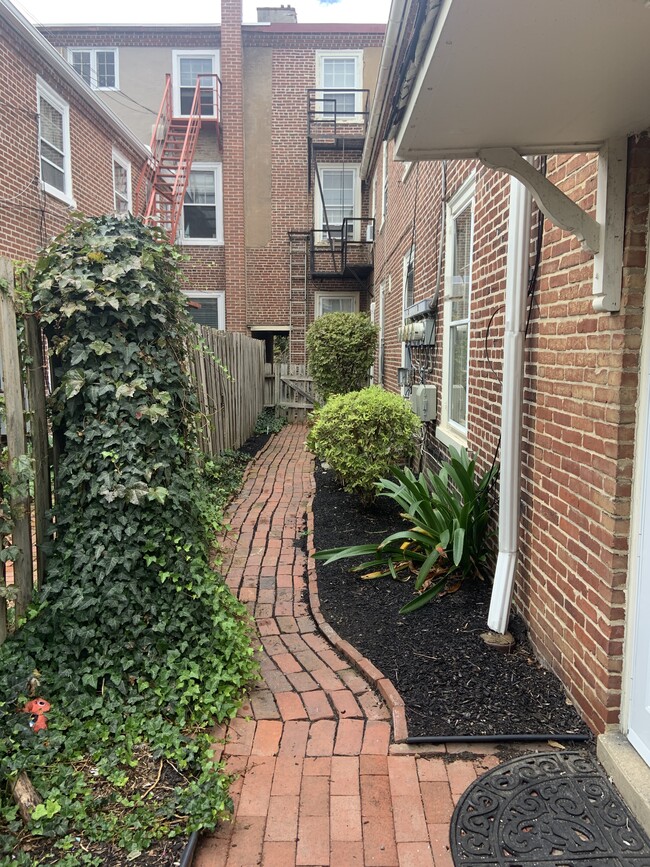 Walkway to Rear Shared Yard - 314 W Miner St