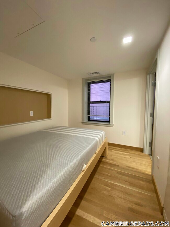Foto del edificio - 115 Mt Auburn St