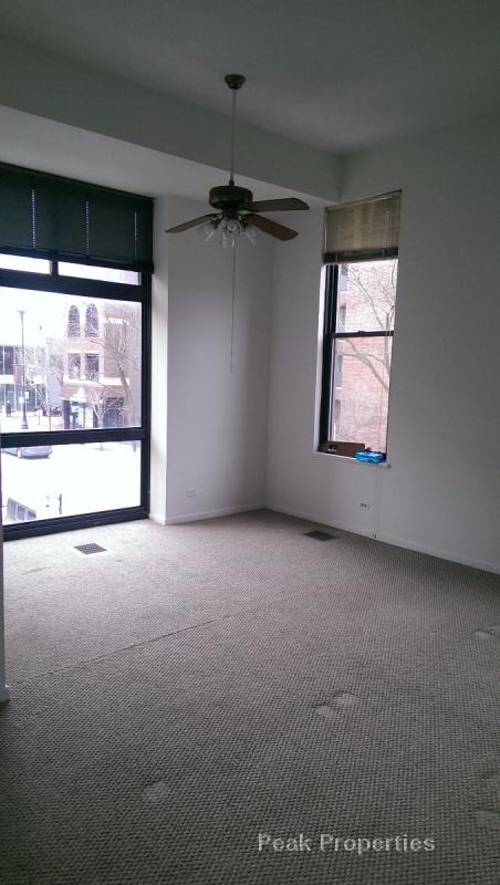Building Photo - 1727 N Halsted St