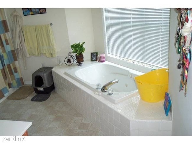 Building Photo - 2 br, 2 bath Condo - Spring Forest Condos