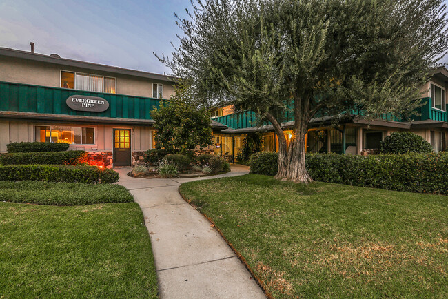 Building Photo - Evergreen Pine