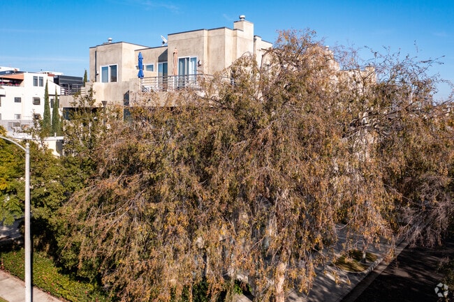 Building Photo - 438 Arnaz Dr