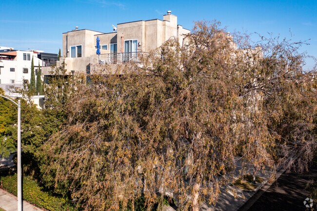Foto del edificio - 438 Arnaz Dr