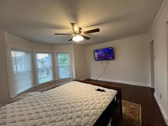 Building Photo - 823 Mulberry Ave