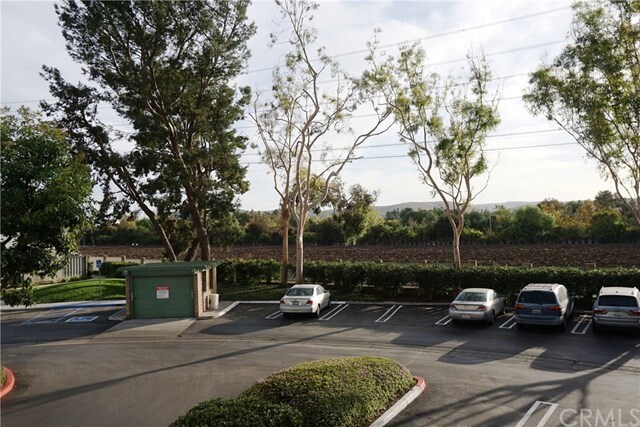Primary Photo - 2110 Apricot Dr