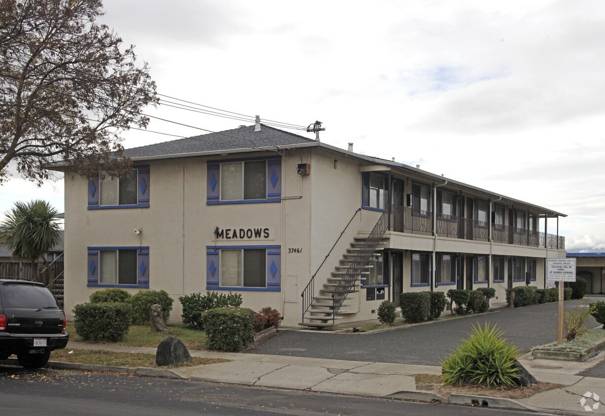 Primary Photo - Meadows