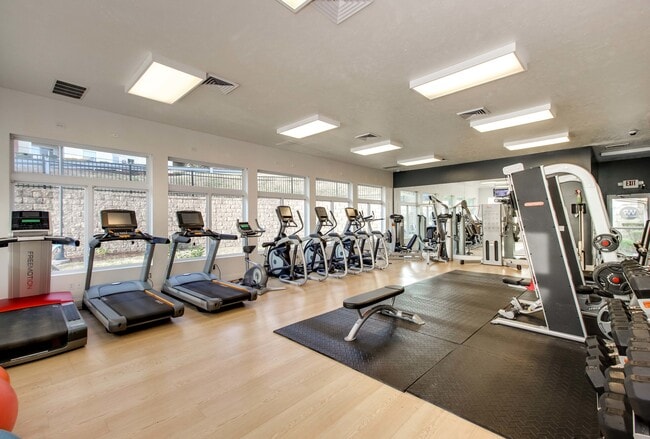 08-Expansive Gym West Run Apartments Morgantown WV-1818-PH-16 - West Run