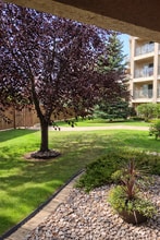 Building Photo - 8912-8156 156 St NW