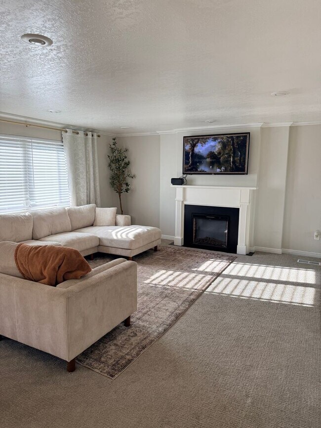 Building Photo - Cove Drive Comfort