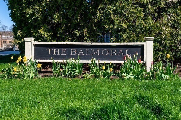 Foto del edificio - 16 Balmoral St