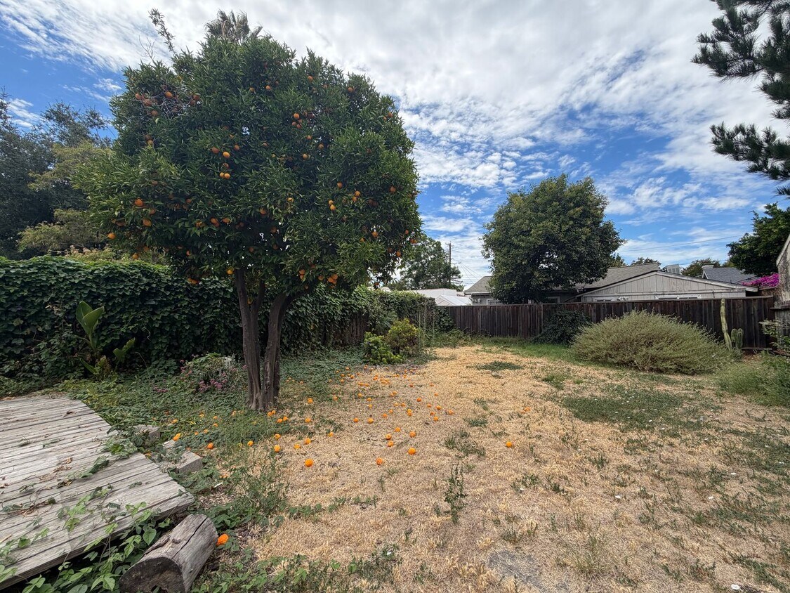 Foto del edificio - Charming Rose Garden Home in a Great Location - Coming Soon!