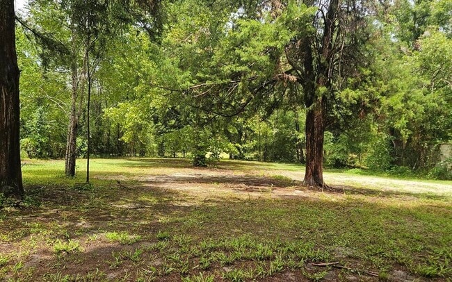 Foto del edificio - 225 Pecan Ln
