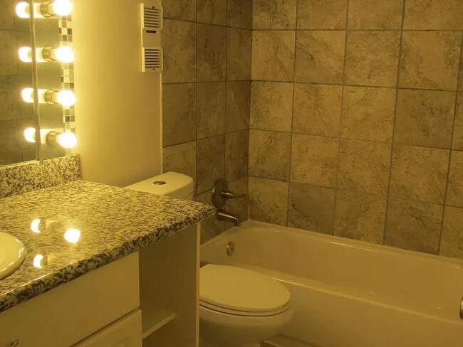 Bathroom vanity with granite countertops. Toilet and tub/ shower combo pictured - 8435 Hearth Dr