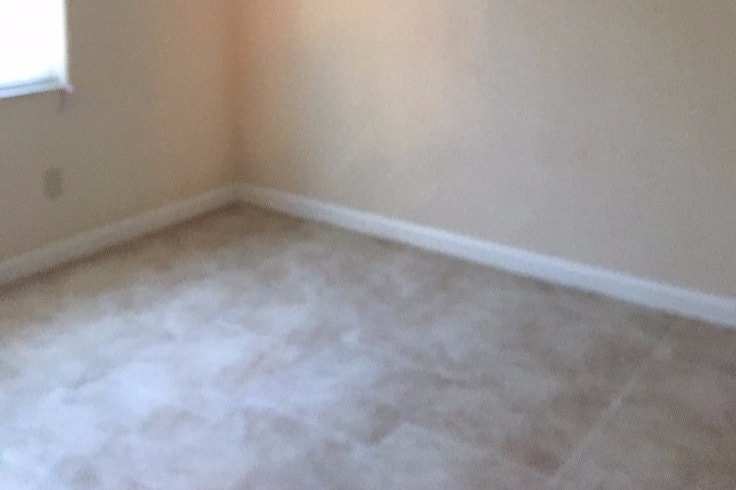 Photo - 909 E Lotus Ave (Tampa, FL)