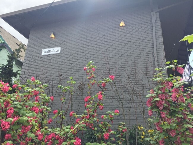 Foto del edificio - Lower 1 bed, off street parking, hardwoods...